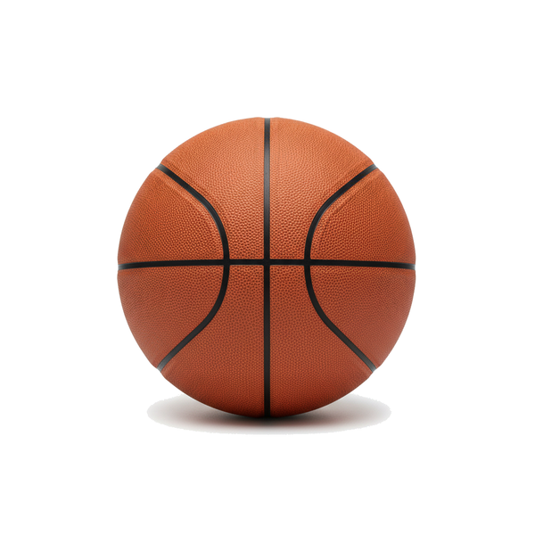 Gridiron & Co CourtPro indoor basketball
